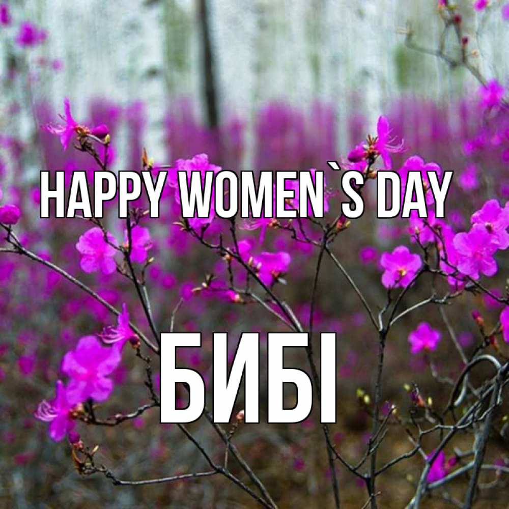 Greetings card с именем, БИБІ happy women`s day дикие цветы Greetings with text for free download 